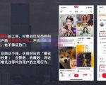 麦子互娱短视频带货·0基础做好物分享账号，无需出镜无需货源无需拍摄-520资源库