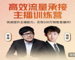 高效流量承接主播训练营:快速提升主播能力,实现100万销售直播间-520资源库