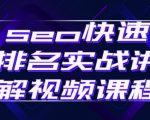 seo快速排名实战讲解视频课程,揭秘seo快排原理-520资源库