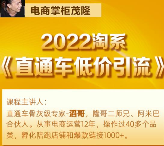 茂隆2022直通车低价引流玩法,教大家如何低投入高回报的直通车玩法-520资源库