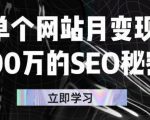 单个网站月变现100万的SEO秘密，百分百做出赚钱站点-520资源库