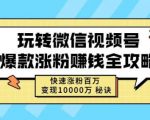 玩转微信视频号爆款涨粉赚钱全攻略,快速涨粉百万变现万元秘诀-520资源库