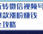 玩转微信视频号爆款涨粉赚钱全攻略，让你快速抓住流量风口，收获红利财富-520资源库