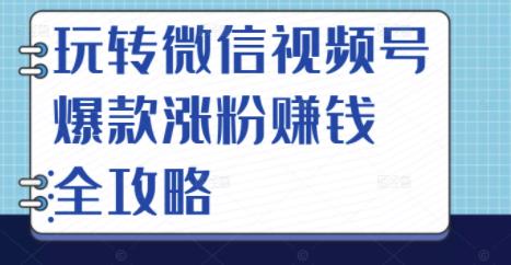 玩转微信视频号爆款涨粉赚钱全攻略，让你快速抓住流量风口，收获红利财富-520资源库