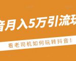 老古董·抖音月入5万引流玩法，看看老司机如何玩转抖音(附赠：抖音另类引流思路)-520资源库
