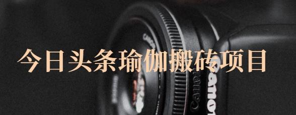 猎人社区·今日头条瑜伽搬砖项目,单号一天几十收入,可以批量操作!-520资源库