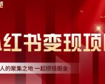 渣圈学苑·小红书虚拟资源变现项目,一起捞钱掘金价值1099元-520资源库
