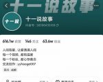 十一说故事·故事性中视频，观众快速共鸣从而快速变现的中视频玩法-520资源库
