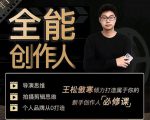 王松傲寒·全能创作人思维课，帮你打造创作人IP，全面提升导演思维-520资源库