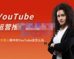 外国人眼中的YouTube该怎么玩?Elisa·YouTube运营推广实战技巧-520资源库