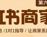 贾真-小红书商家营第6期商家版，21天带货陪跑课，让商家丢掉付流量-520资源库