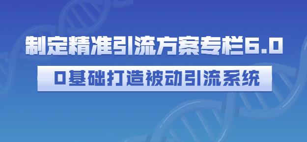 制定精准引流方案专栏6.0，0基础打造被动引流系统-520资源库