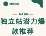 【跨境B哥】独立站潜力爆款选品推荐，测款出单率高达百分之80-520资源库