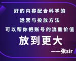 张sir账号流量增长课，告别海王流量，让你的流量更精准-520资源库