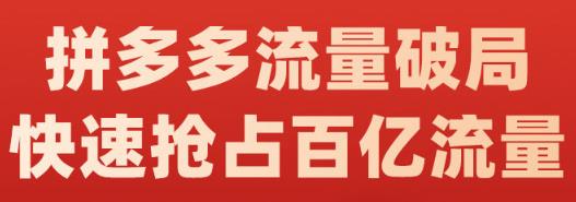 阿杰·拼多多流量破局:如何打黑标，爆款的思路，拼多多流量框架，快速抢占百亿流量-520资源库