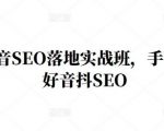 王通·抖音SEO落地实战班,手手带你做好音抖SEO-520资源库