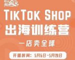 疯人院:TikTok Shop出海训练营(一店卖全球),出海抢占全球新流量-520资源库