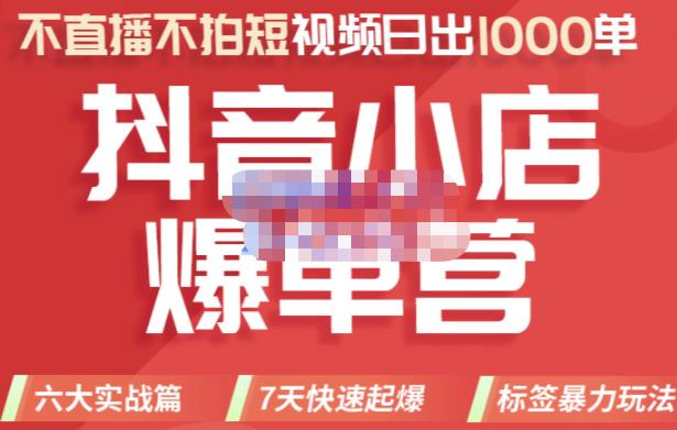 推易电商·2022年抖音小店爆单营，不直播、不拍短视频、日出1000单，暴力玩法-520资源库