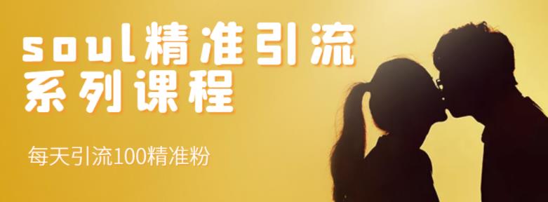 soul精准引流系列课程,每天引流100精准粉-520资源库