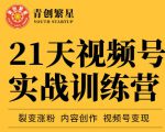 张萌21天视频号实战训练营,裂变涨粉、内容创作、视频号变现 价值298元-520资源库