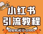小红书运营引流全系列课程，每天引流100精准粉-520资源库