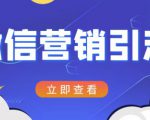微信营销策划引流系列课程,每天引流100精准粉-520资源库