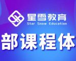 星雪教育淘系高级班，更全的运营提升方案，零基础由浅入深，店铺最新玩法-520资源库
