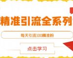 闲鱼精准引流全系列课程，每天引流100精准粉【视频课程】-520资源库