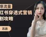 苏歆:小红书穿透式营销收割攻略,引爆流量,助你玩转小红书-520资源库