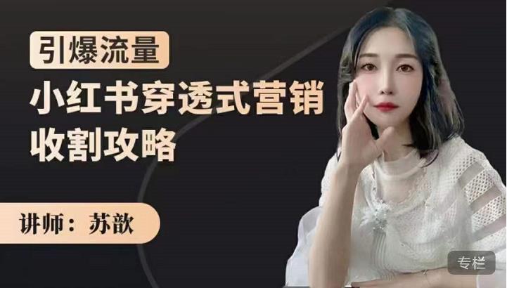 苏歆：小红书穿透式营销收割攻略，引爆流量，助你玩转小红书-520资源库