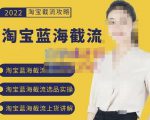 2022淘宝蓝海截流攻略,淘宝蓝海截流选品上货实操讲解-520资源库