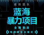 引流哥蓝海暴力躺赚项目:无需发圈无需引流无需售后,每单赚50-500(教程+线报群)-520资源库