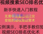 宋老师·短视频搜索SEO优化，教你10分钟创作一个短视频，三天排名上第一-520资源库