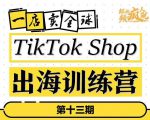 TikTokShop出海训练营（第十三期），打开全球流量新思维，出海抢占全球新流量，一店卖全球-520资源库