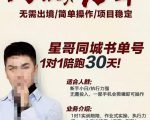 星哥同城教育书单号课程，无需出境简单操作项目稳定-520资源库