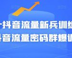 Peter抖音流量新兵训练营-破解抖音流量密码群爆训练营(新兵)-520资源库