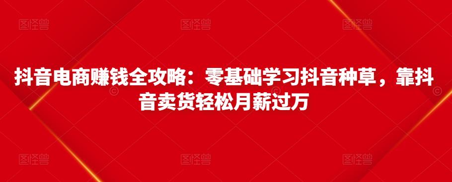 抖音电商赚钱全攻略：零基础学习抖音种草，靠抖音卖货轻松月薪过万-520资源库