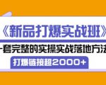 凌童《新品打爆实战班》,一套完整的实操实战落地方法，打爆链接超2000+（28节课)-520资源库