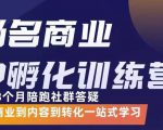 杨名商业IP孵化训练营，从商业到内容到转化一站式学 价值5980元-520资源库