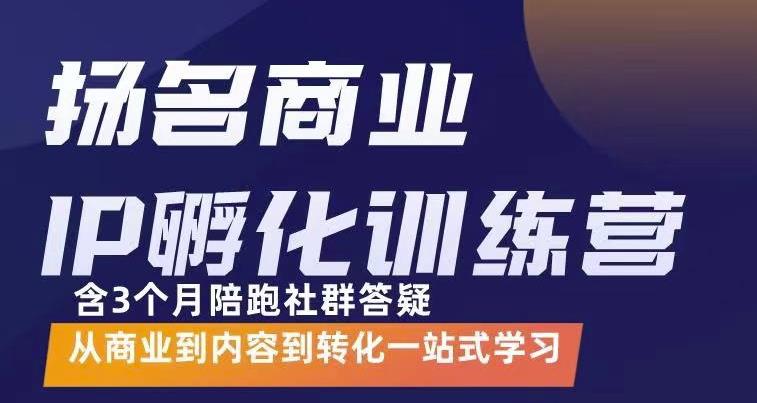 杨名商业IP孵化训练营,从商业到内容到转化一站式学 价值5980元-520资源库