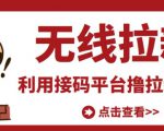 最新接码无限拉新项目,利用接码平台赚拉新平台差价,轻松日赚500+-520资源库
