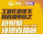 尼克派·工业化思维下的直播电商之短视频锤爆直播间，听话照做执行爆单-520资源库