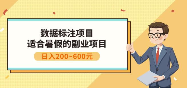 副业赚钱:人工智能数据标注项目,简单易上手,小白也能日入200+-520资源库