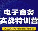 民赛电气内部出品：电子商务实战特训营，全方位带你入门电商，308种方式玩转电商-520资源库