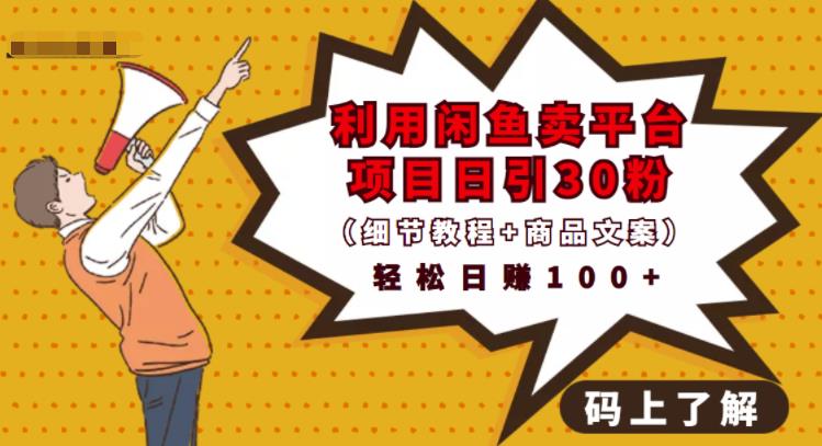 利用闲鱼卖平台项目课程资源日引流30+精准粉丝,轻松日赚100+,积累人脉可实现二次变-520资源库