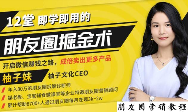 【营销必学】12堂学之即用的朋友圈掘金术：开启你的副业赚钱之路-520资源库