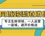 同城跨渠道销售，专注生鲜领域，一人运营一座城，避开价格战-520资源库
