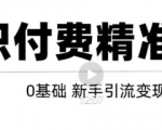 玩转知识付费项目精准引流,给你1套课多账号操作落地方案!-520资源库