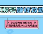 玩转微信视频号赚钱:小白变大咖涨粉百万实现快速变现1000万的现金流-520资源库