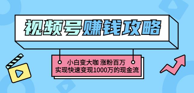 玩转微信视频号赚钱：小白变大咖涨粉百万实现快速变现1000万的现金流-520资源库
